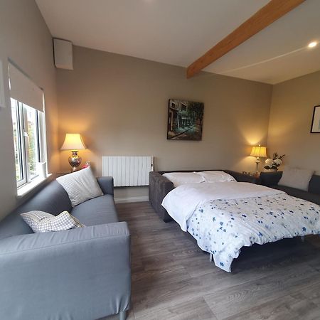 Garden Chalet Oranmore Daire Galway Dış mekan fotoğraf